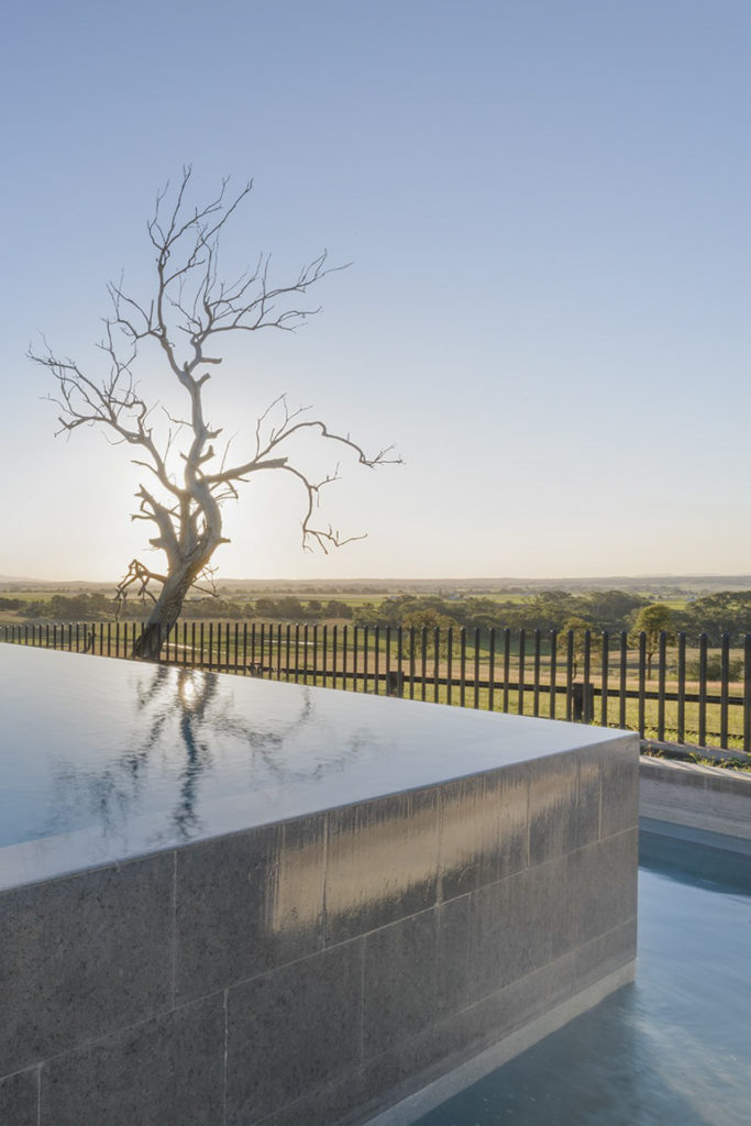 14. Karl-&-Bronwyn-Wagner-Singleton-187